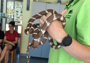 Pracownik ZOO trzyma węża na rękach