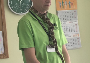 Zdjęcie 1 na 11