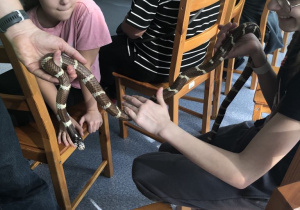 Zdjęcie 8 na 11