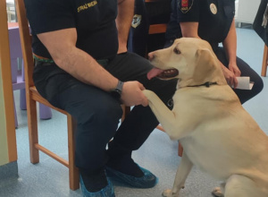 Spotkanie ze Strażą Miejską